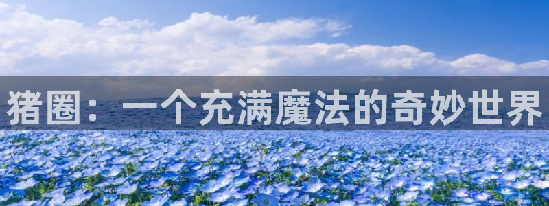 51漫画2.0版本：猪圈：一个充满魔法的奇妙世界