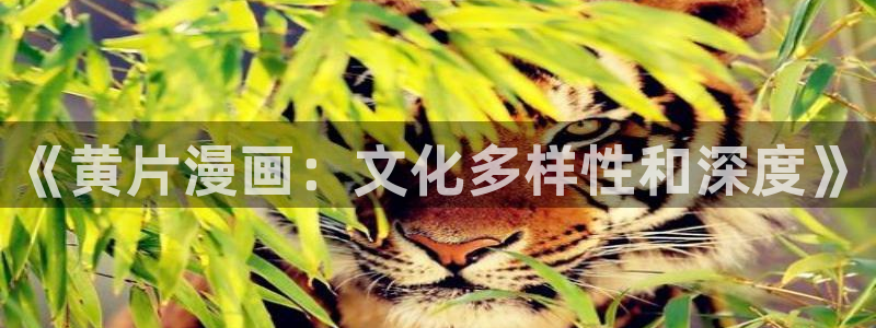 51漫画图片：《黄片漫画：文化多样性和深度》