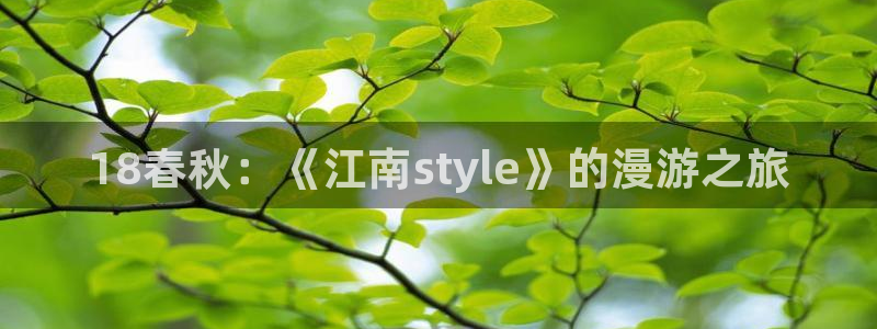 51漫画51漫画：18春秋：《江南style》的漫游之旅